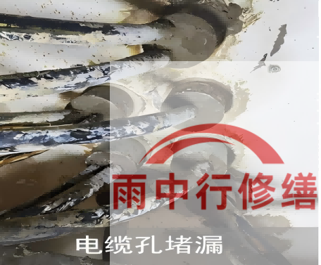 南开电缆线空洞堵漏加固案例